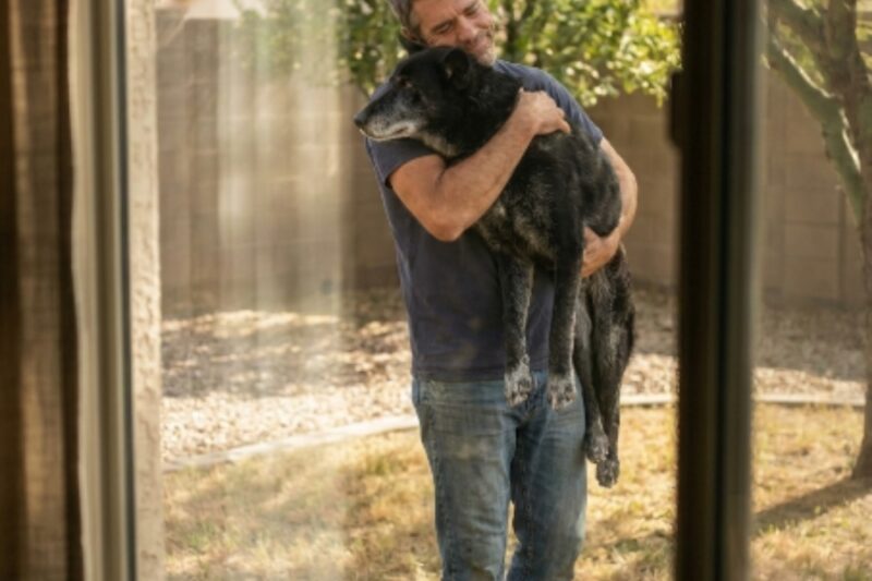 He never missed a day. The dog could no longer walk.