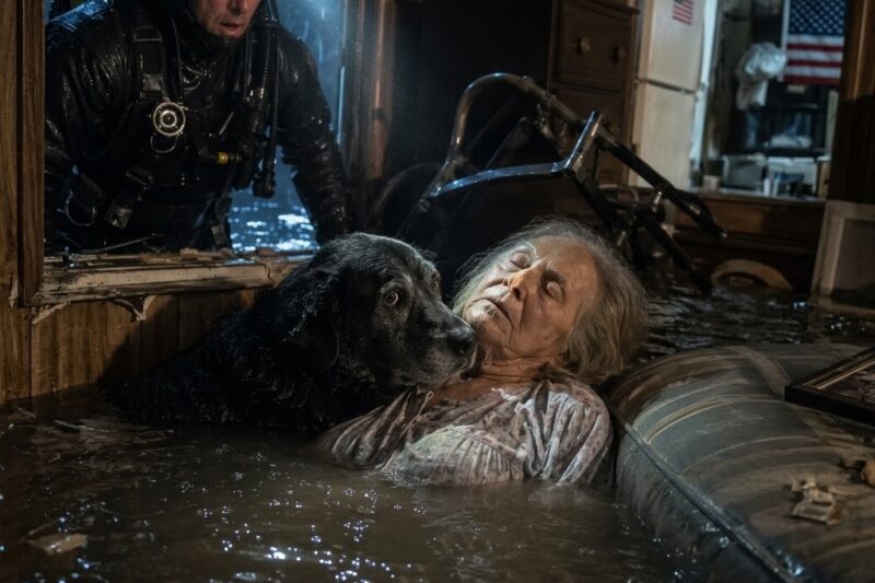 THE DOG WOULD NOT LEAVE HER. THE WATER WAS ALREADY AT HER MOUTH. AND THE RESCUER SAW SOMETHING IN THAT DARK HALLWAY HE WOULD NEVER FORGET.