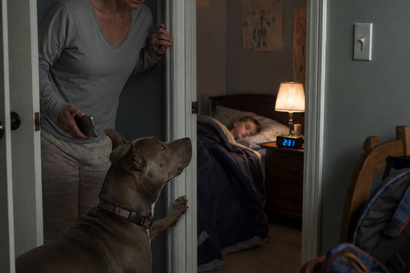 I WAS THREE DAYS AWAY FROM GIVING NOVA AWAY.  EVERYONE SAID SHE WAS TOO MUCH DOG FOR OUR FAMILY.  THEN ONE NIGHT, SHE STOOD OUTSIDE MY SON’S DOOR AND REFUSED TO MOVE.