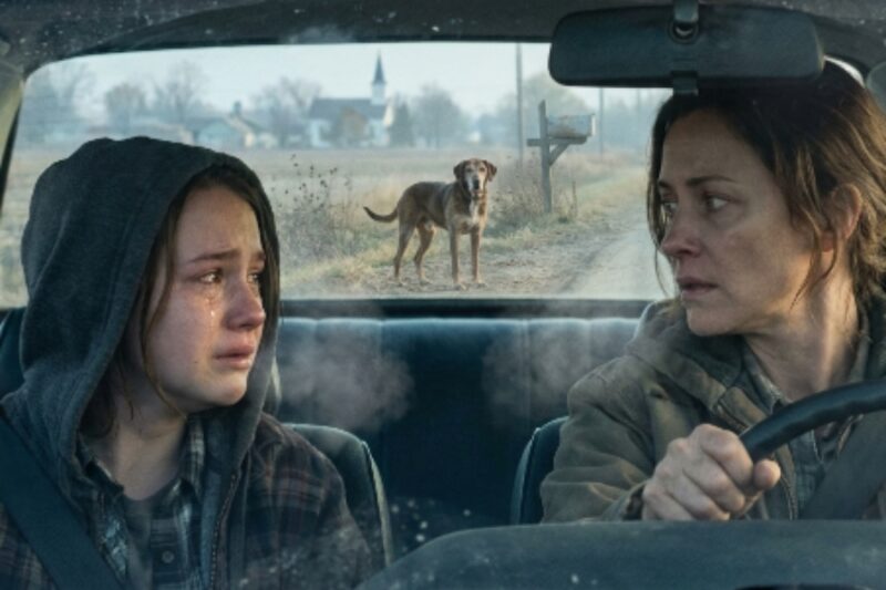 He kept chasing cars. Nobody stopped. Then a thirteen-year-old girl looked back.
