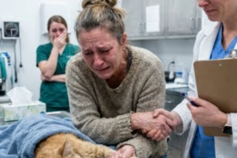 The vet slid the pen across the metal table and asked me which heartbreak I wanted to take home.