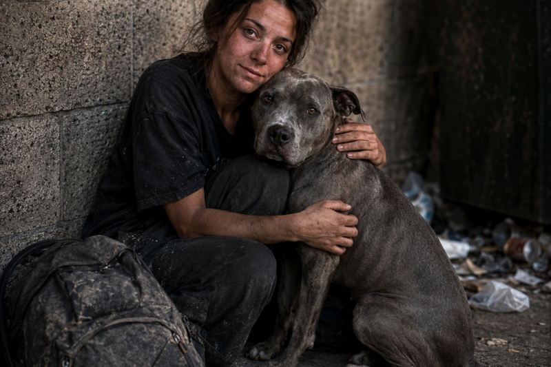 ON MY TWENTY-SIXTH BIRTHDAY, MY STEPFATHER KICKED ME OUT. THIS STRAY PIT BULL LOOKED FOR SHELTER FOR ME FOR TWO MONTHS.