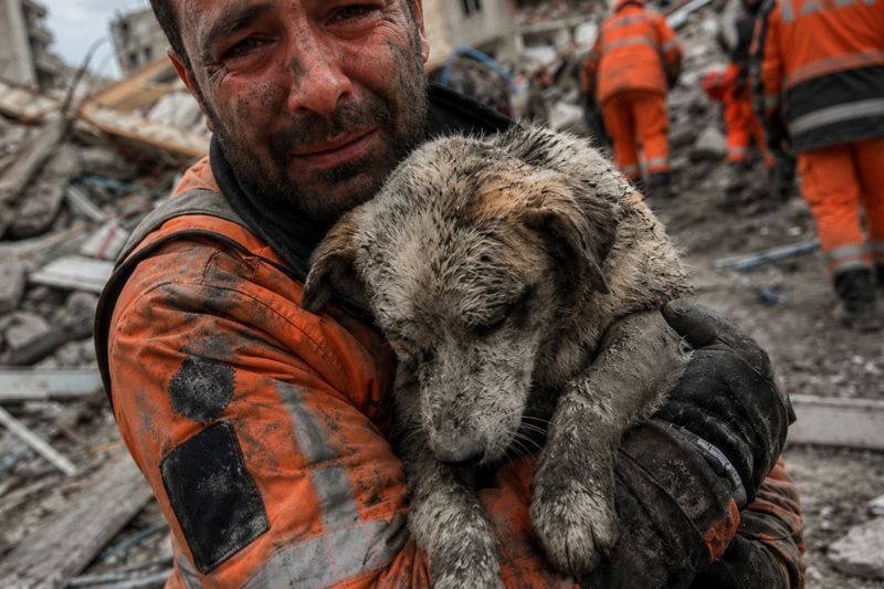 AFTER 8 HOURS IN THE RUBBLE, I PULLED OUT THE DOG WHO HAD BEEN PROTECTING A LITTLE GIRL — AND I NEVER LEFT HIM AGAIN