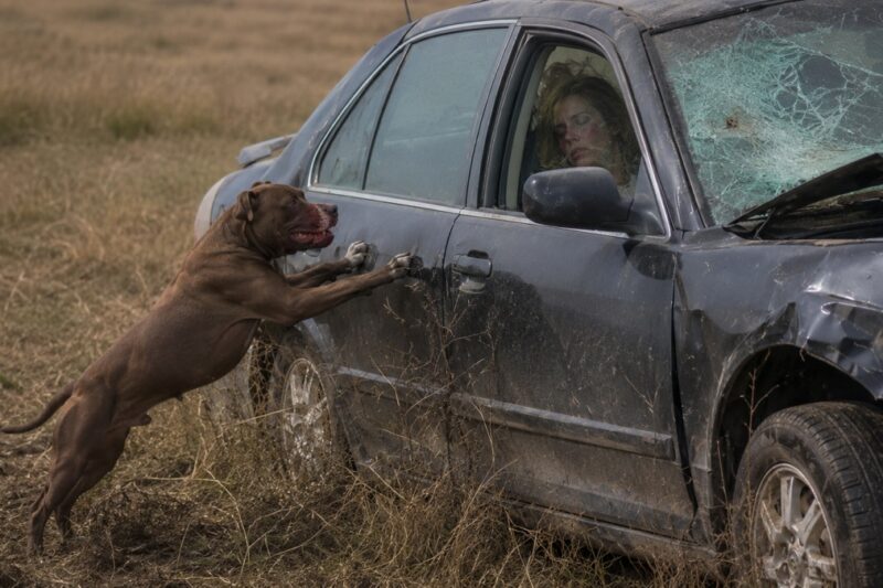 Then I saw the car.  It sat about fifty yards off the road, smashed nose-first against a limestone boulder, half-hidden by weeds and dirt.