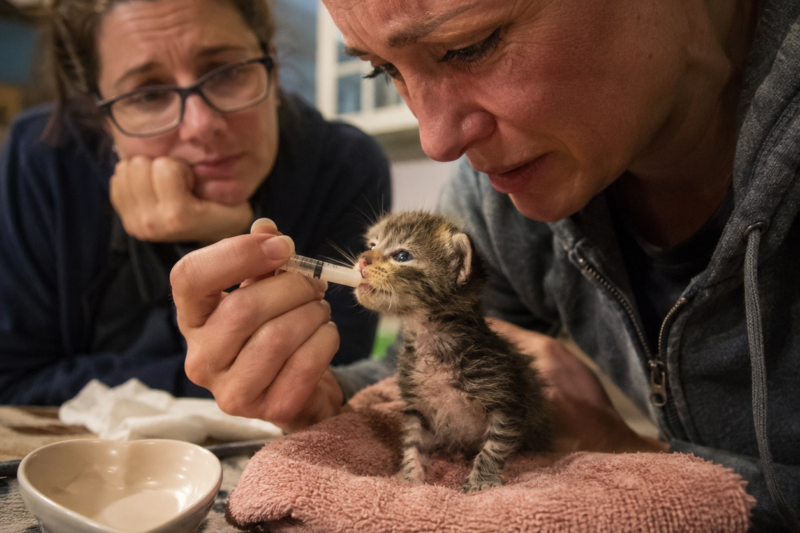 SHE WAS SO TINY, THEY THOUGHT SHE WAS ONLY ONE WEEK OLD. BUT HER LITTLE BODY HAD ALREADY BEEN FIGHTING FOR THREE. AND WHEN SHE TOOK HER FIRST REAL MEAL, EVERYONE IN THE ROOM HELD THEIR BREATH.