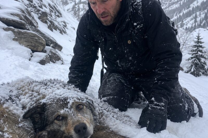 At first, he could not tell what he was seeing. It looked too small to be a boulder and too still to be another hiker. He adjusted the straps on his backpack and moved forward slowly, his breath coming out in thin white clouds.