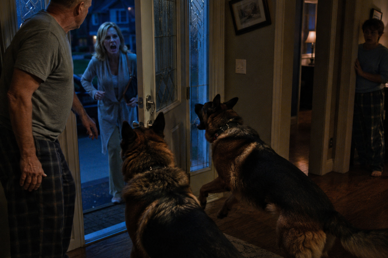 HOA KAREN KICKED MY DOOR AT 4 A.M. CLAIMING SHE HAD A MASTER KEY — SHE FORGOT MY RETIRED K9S WERE ON DUTY