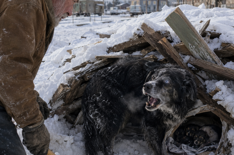 THEY CALLED HIM A MENACE.  THEN THE BLIZZARD BURIED THREE PUPPIES.  AND THE DOG EVERYONE HATED WOULDN’T STOP BARKING.